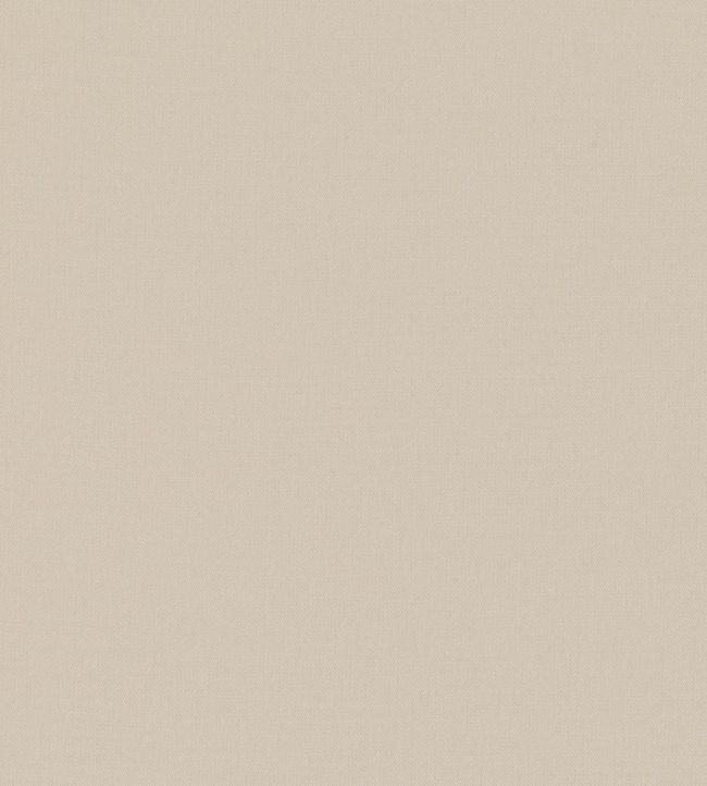 Miro Fabric by Romo Shell