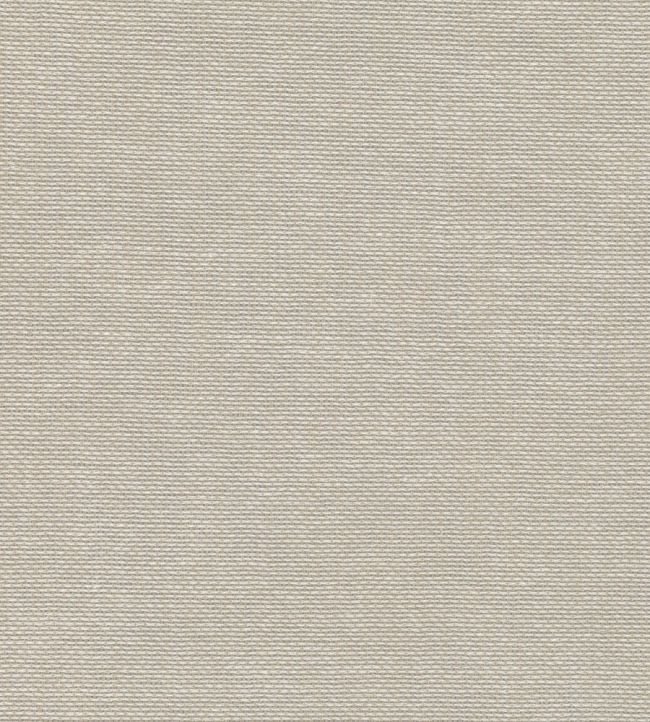 Naro Fabric by Romo Briosca