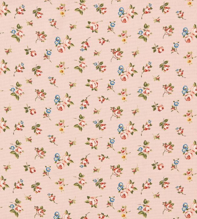Rosebud Fabric by Clarke & Clarke Blush