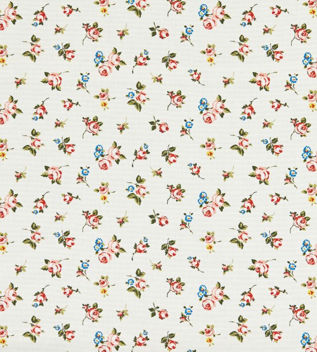 Rosebud Fabric by Clarke & Clarke Spice