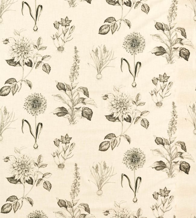 Roseraie Fabric by Clarke & Clarke Charcoal