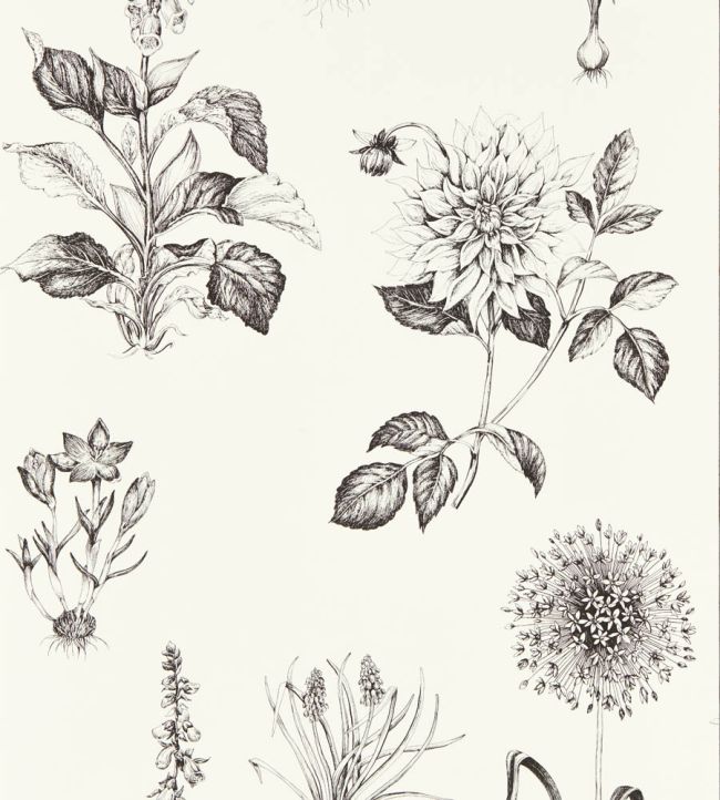 Roseraie Wallpaper by Clarke & Clarke Charcoal