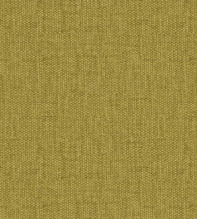 Rouen Fabric by Warwick Citrus