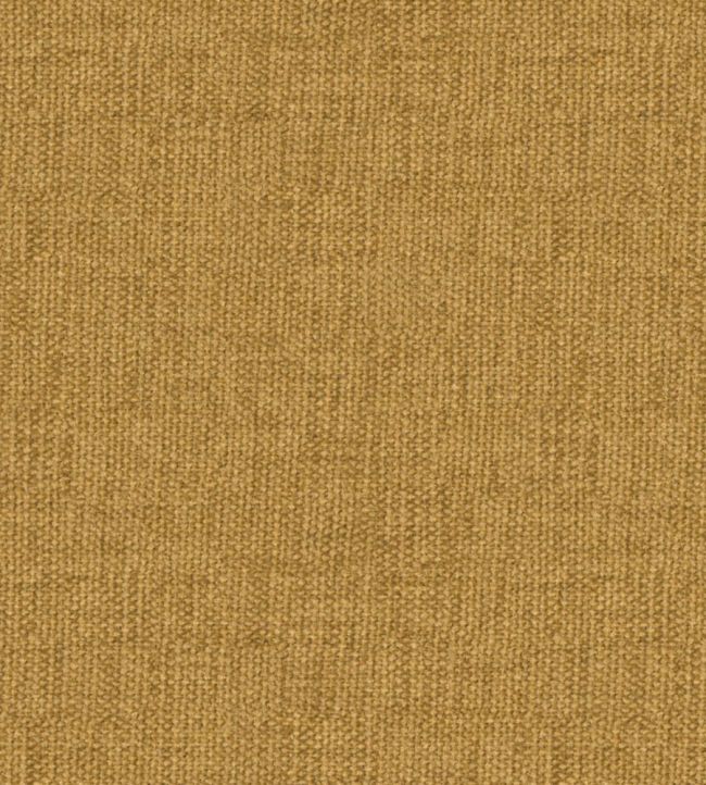 Rouen Fabric by Warwick Gold