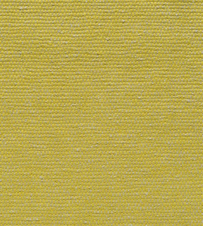 Roussillon Fabric by Designers Guild Alchemilla