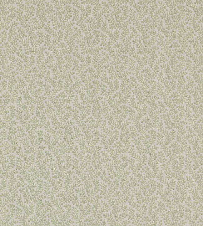 Rushmere Wallpaper by Colefax and Fowler Willow Green