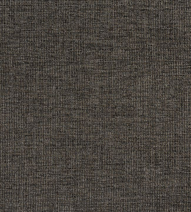 Sacchi Fabric by Thibaut Ebony