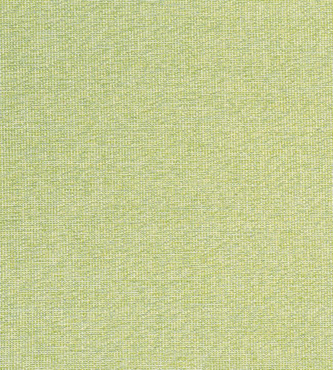 Sacchi Fabric by Thibaut Leaf