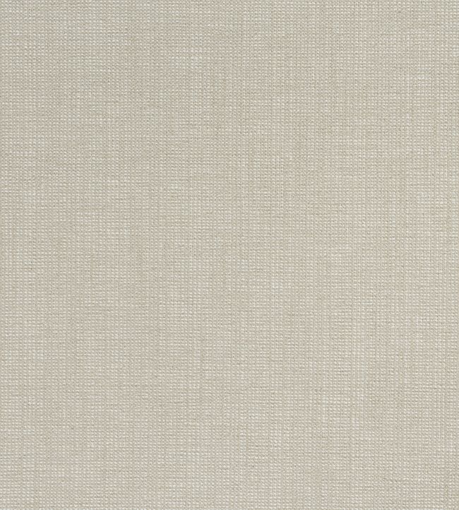 Sacchi Fabric by Thibaut Stone