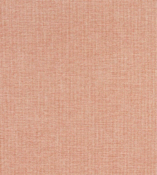 Sacchi Fabric by Thibaut Terracotta