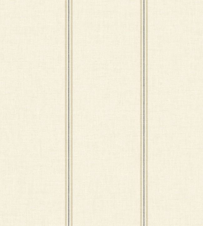 Saint Briac Wallpaper by Casadeco Noir Fusain/Lin