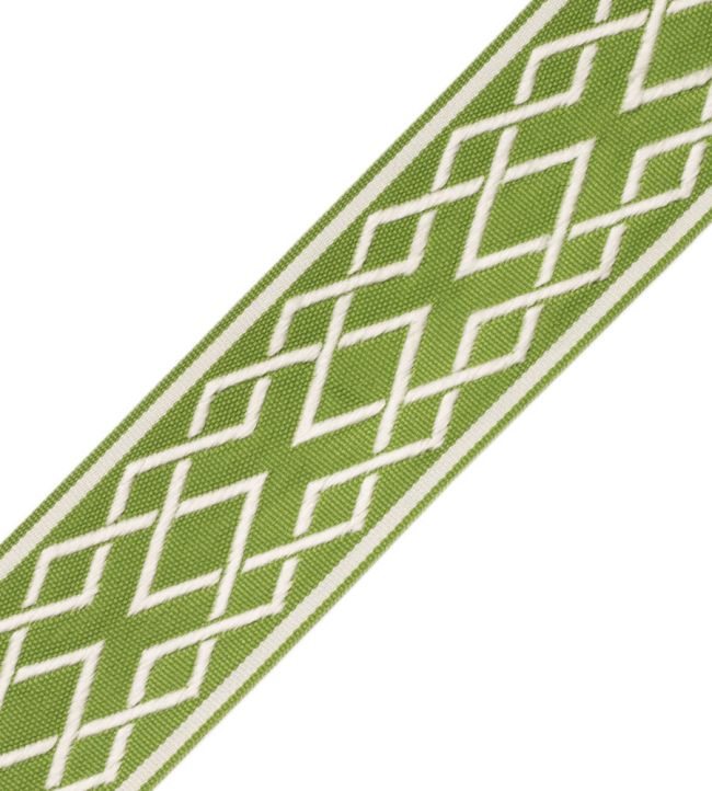 Saisons Interlink Border Trimming by Samuel & Sons Lime
