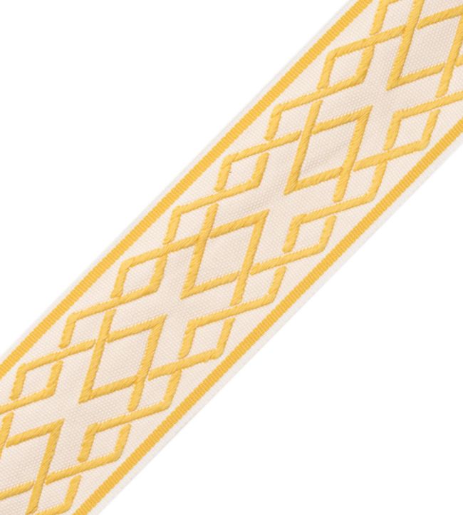 Saisons Interlink Border Trimming by Samuel & Sons Sun