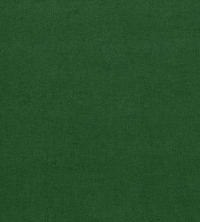 Saluzzo Fabric by Ashley Wilde Fern