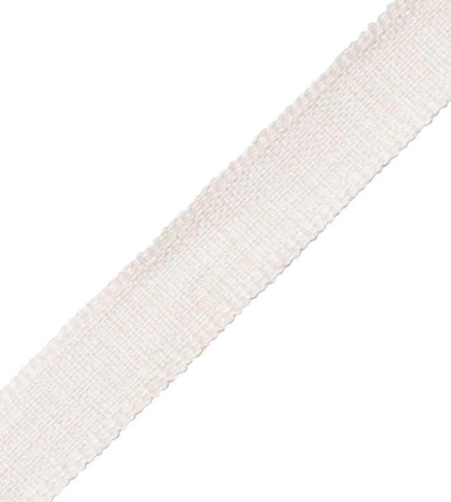 Positano Linen Border 25MM Trimming by Samuel & Sons Salt