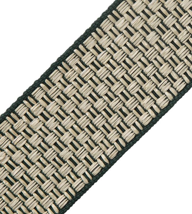 Tulum Border Trimming by Samuel & Sons Rainforest