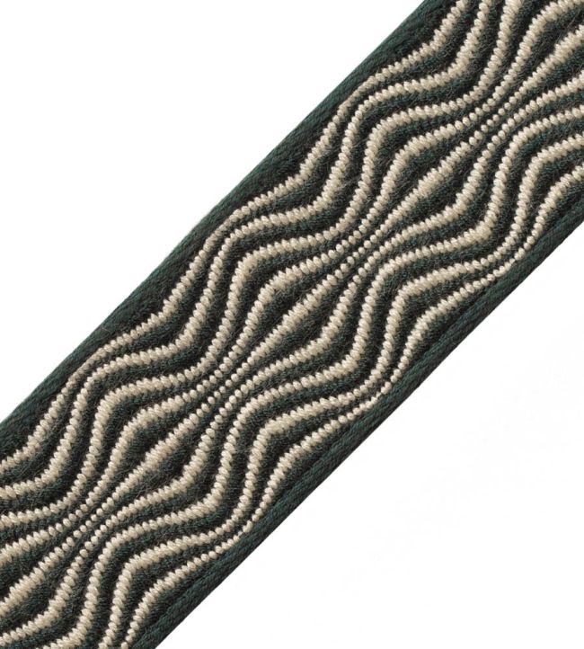 Xelha Border Trimming by Samuel & Sons Rainforest