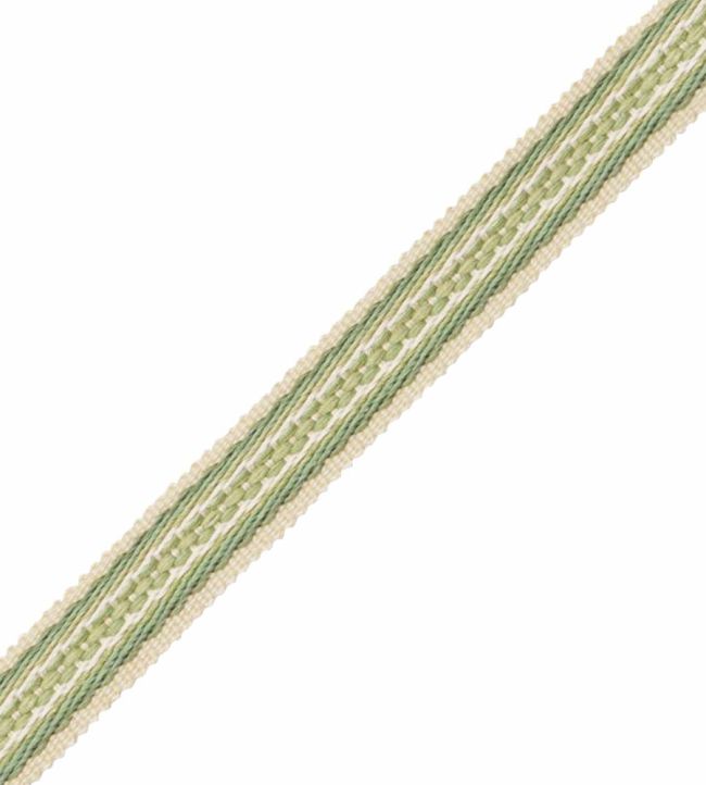 19mm Tiverton Border Trimming by Samuel & Sons Fern