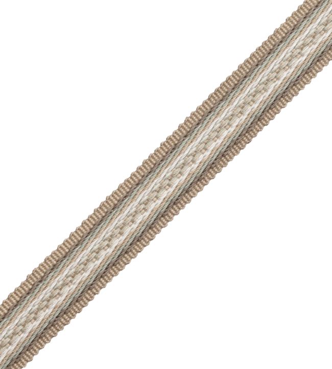 19mm Tiverton Border Trimming by Samuel & Sons Ash