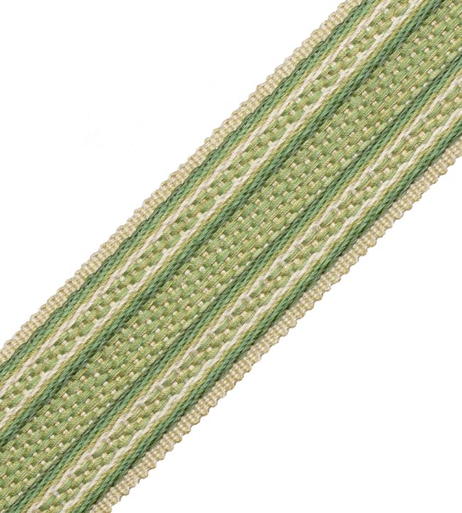 43mm Tiverton Border Trimming by Samuel & Sons Fern