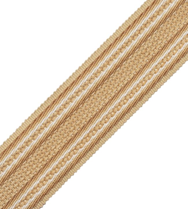 43mm Tiverton Border Trimming by Samuel & Sons Ocher