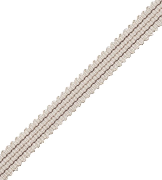 Tiverton Striped Gimp Trimming by Samuel & Sons Charcoal