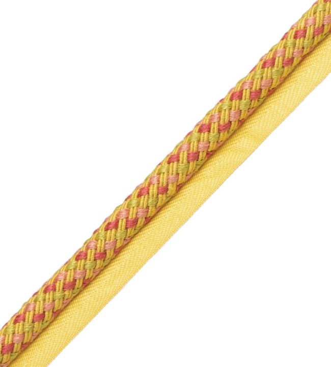 Veranda Cord With Tape Trimming by Samuel & Sons Waterlily