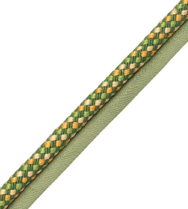 Veranda Cord With Tape Trimming by Samuel & Sons Jonquille