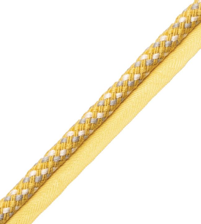 Veranda Cord With Tape Trimming by Samuel & Sons Goldenrod