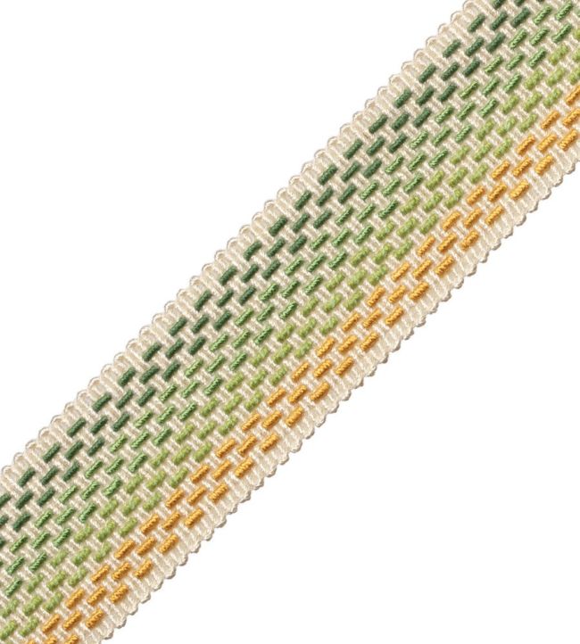 Veranda Ombre Border Trimming by Samuel & Sons Jonquille
