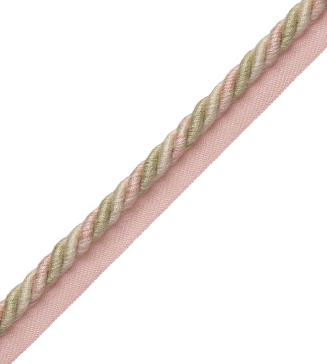 Veronique Cord With Tape 8MM Trimming by Samuel & Sons Blossom
