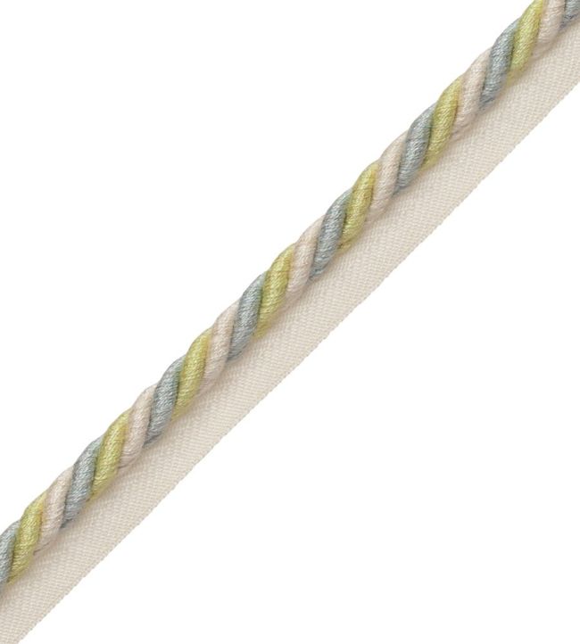 Veronique Cord With Tape 8MM Trimming by Samuel & Sons Meadow