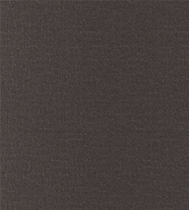 San Marco Fabric by Wemyss Cocoa