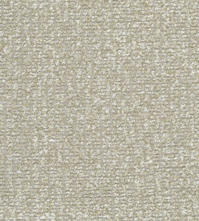 Sanday Fabric by Osborne & Little Canvas