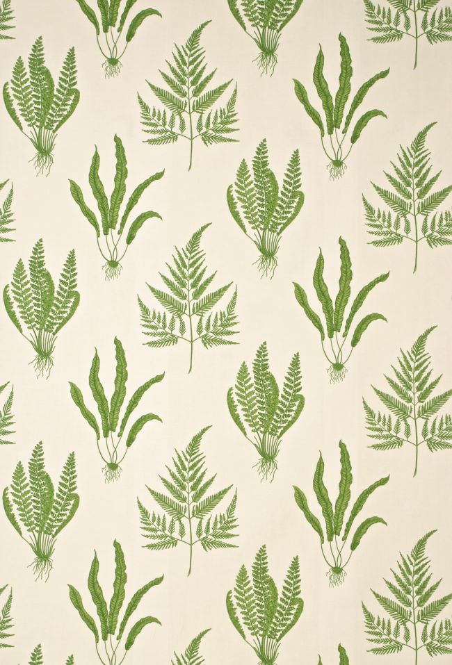 Woodland Ferns Fabric by Sanderson Green