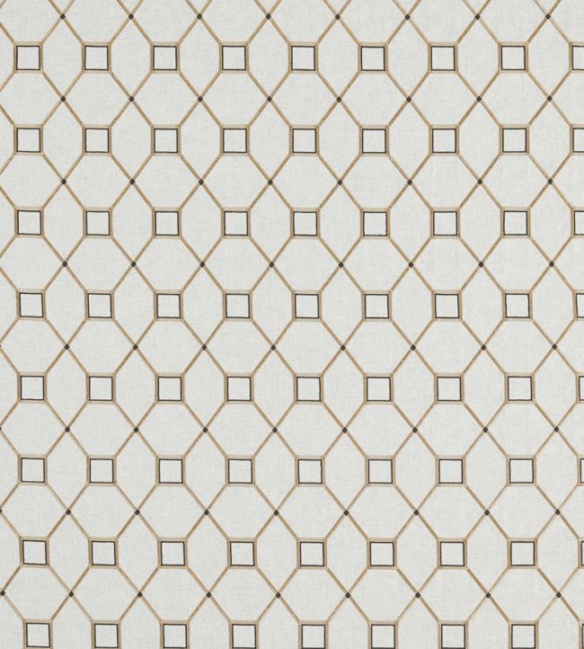 Baroque Trellis Fabric by Sanderson Charcoal / Gold
