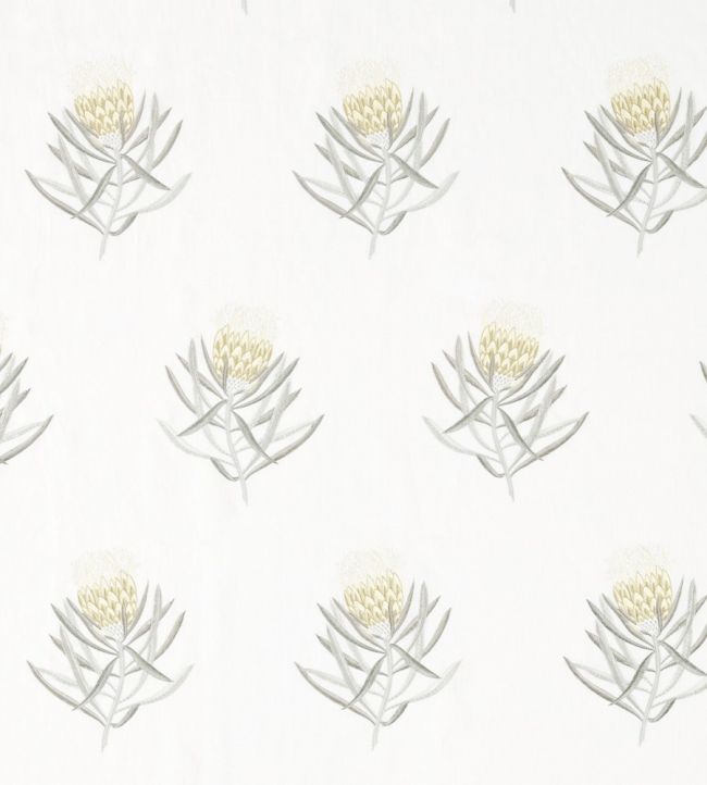 Protea Flower Fabric by Sanderson Daffodil / Natural