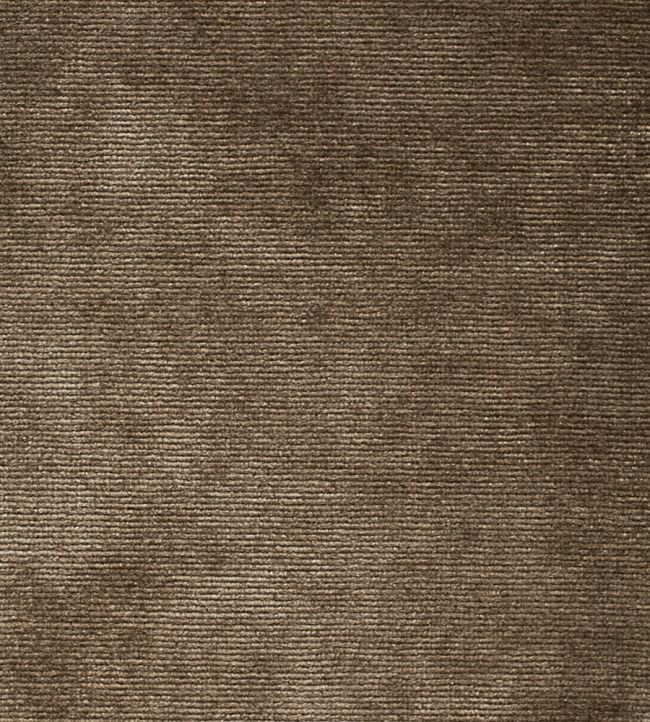 Boho Velvets Fabric by Sanderson Almond