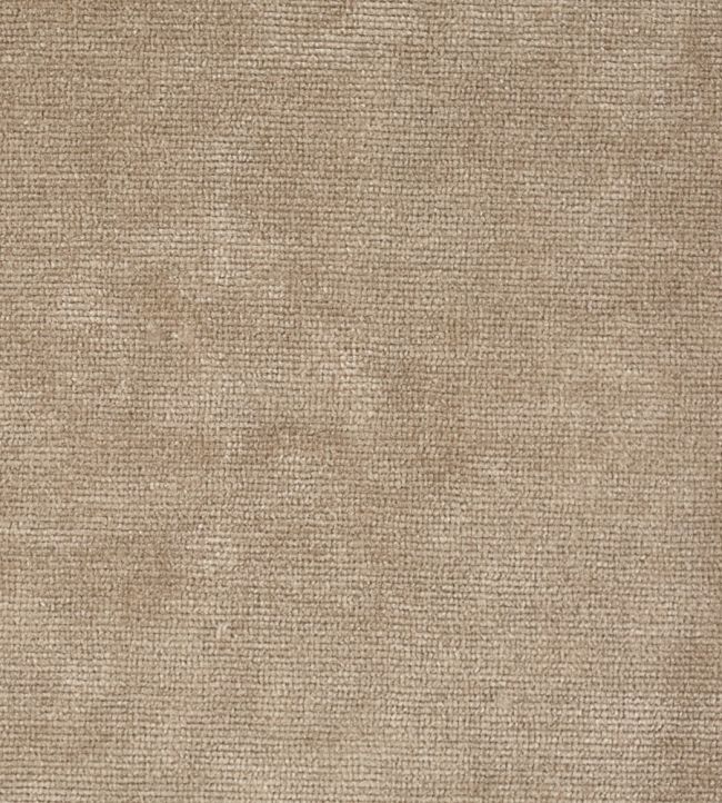 Boho Velvets Fabric by Sanderson Oyster