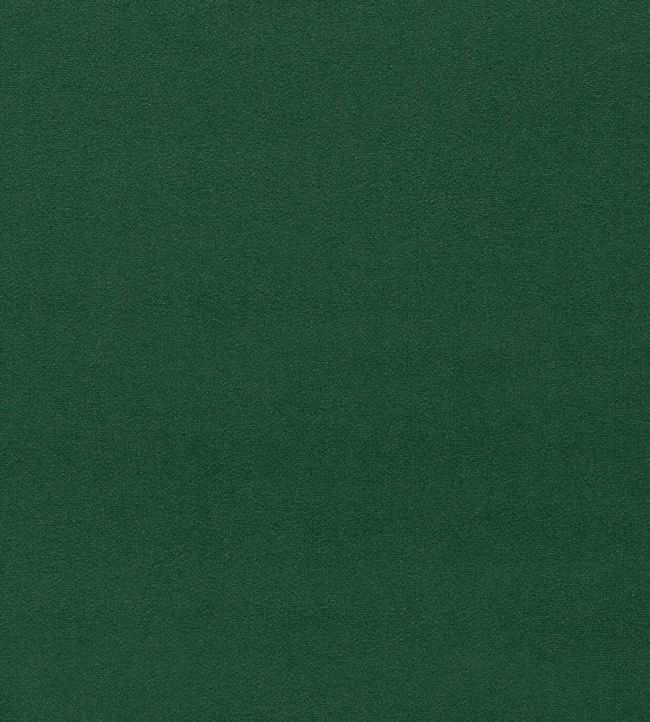 Dorton Fabric by Sanderson Cactus