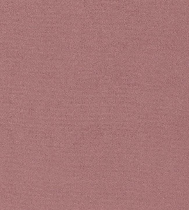 Dorton Fabric by Sanderson Orchid