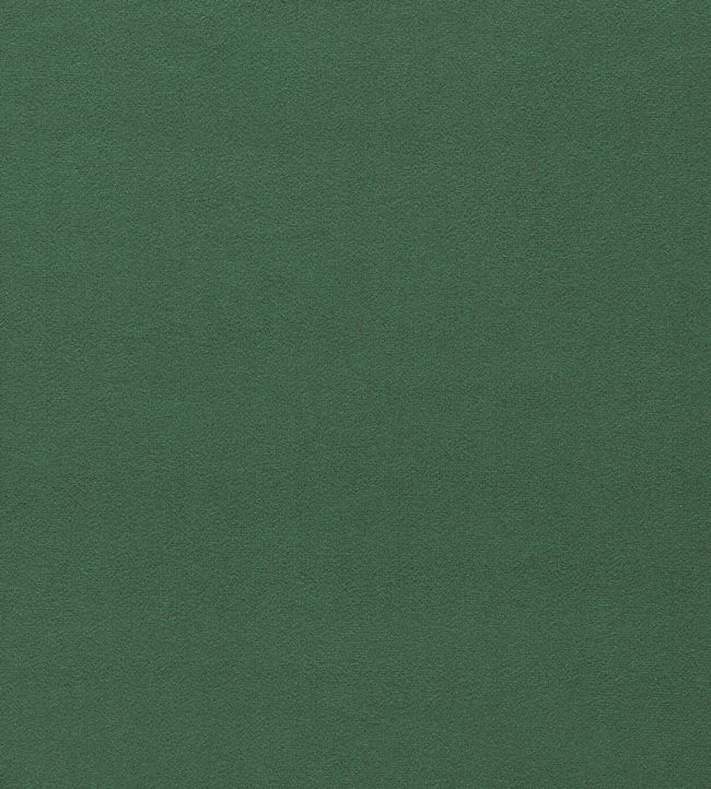 Dorton Fabric by Sanderson Sage