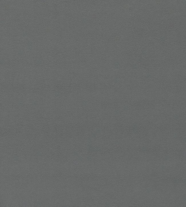 Dorton Fabric by Sanderson Gunmetal