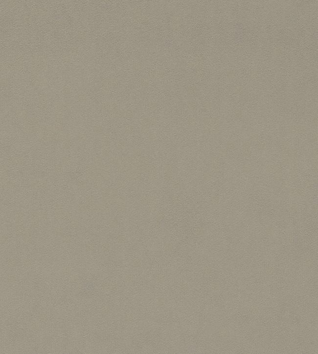 Dorton Fabric by Sanderson Tawny