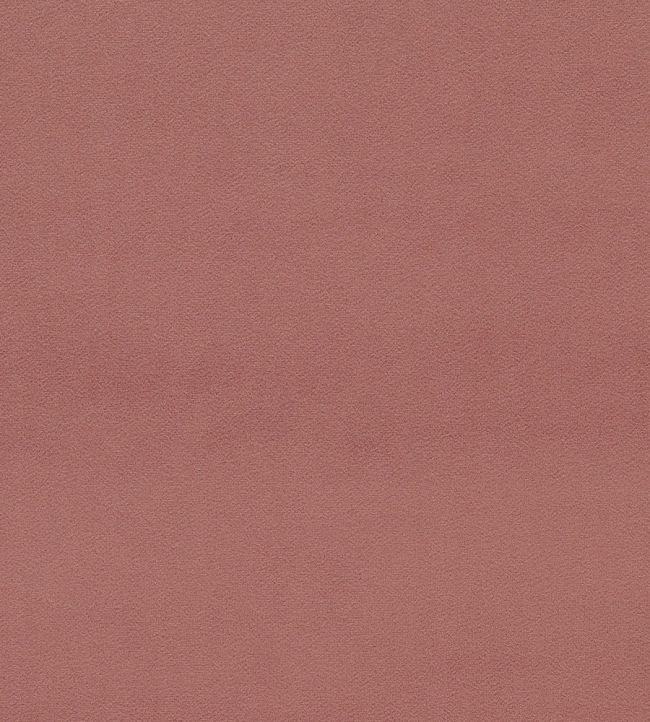 Dorton Fabric by Sanderson Vintage Rose