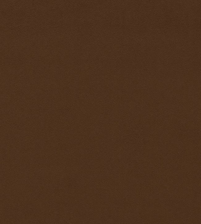 Dorton Fabric by Sanderson Cocoa
