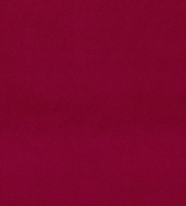 Dorton Fabric by Sanderson Fuschia