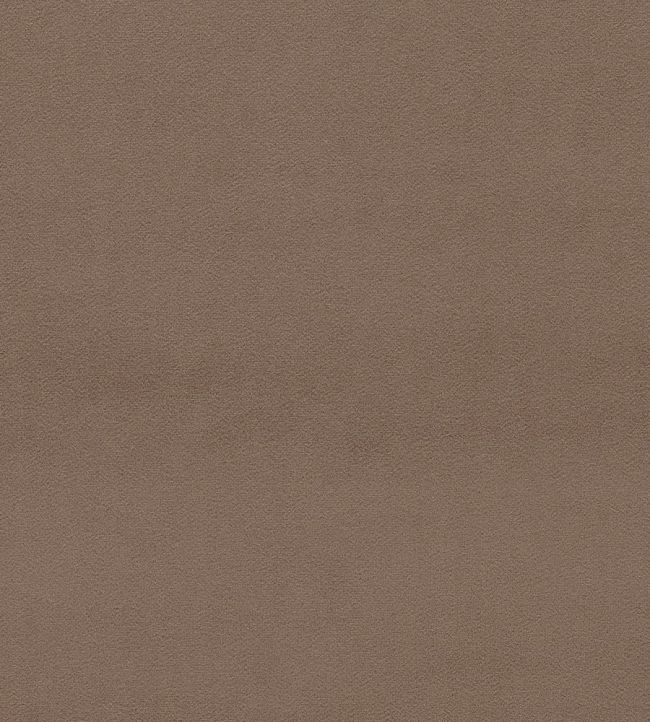 Dorton Fabric by Sanderson Truffle