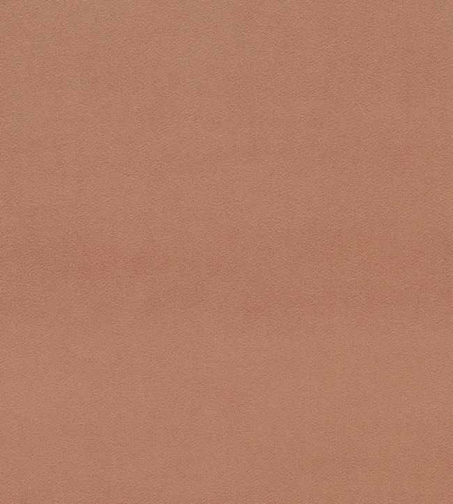 Dorton Fabric by Sanderson Auburn