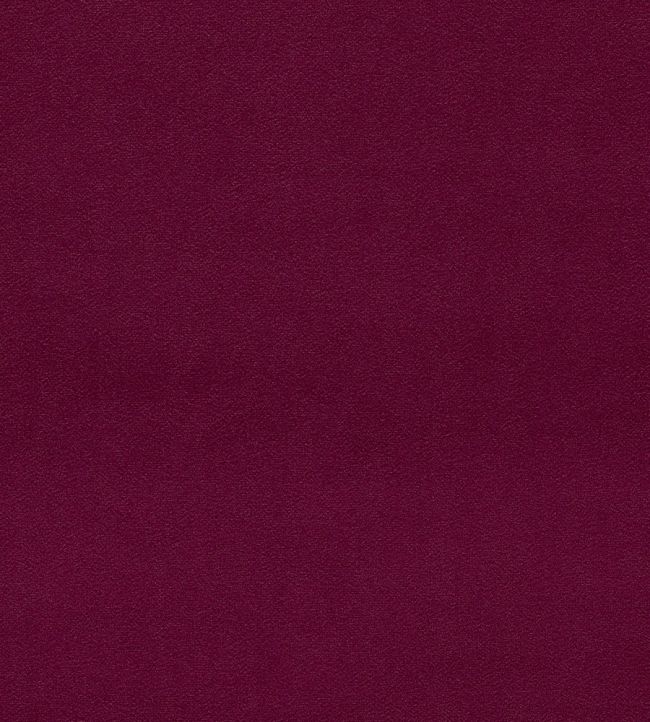 Dorton Fabric by Sanderson Fig
